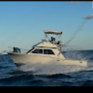 Meet your Posher, Dan